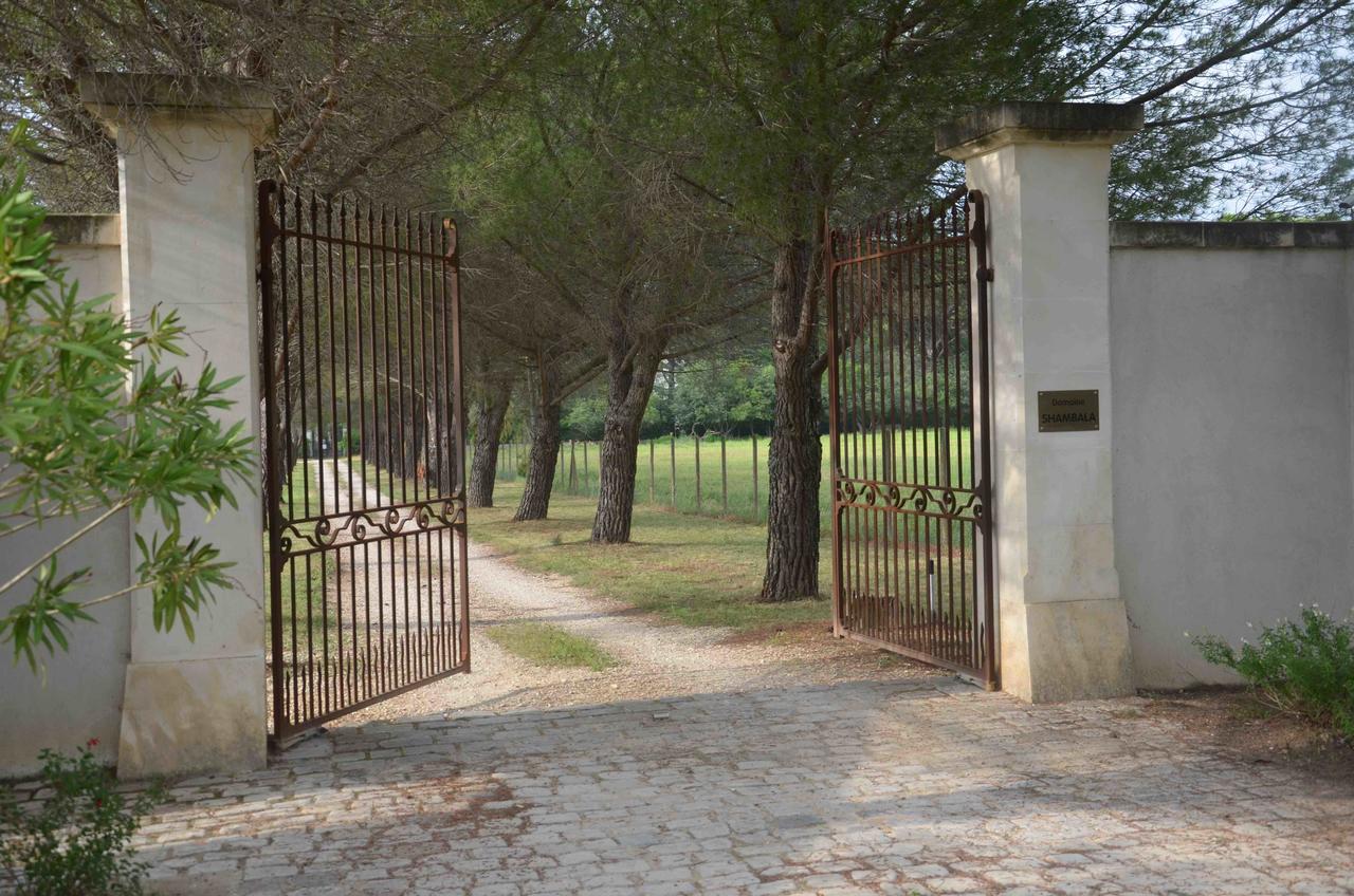 Domaine Shambala - Maison D'Hote En Provence - Piscine Chauffee Velaux Zewnętrze zdjęcie