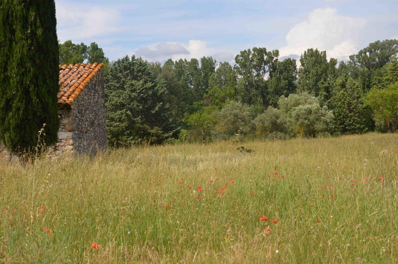 Domaine Shambala - Maison D'Hote En Provence - Piscine Chauffee Velaux Zewnętrze zdjęcie